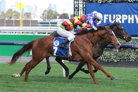 empire rose stakes tips